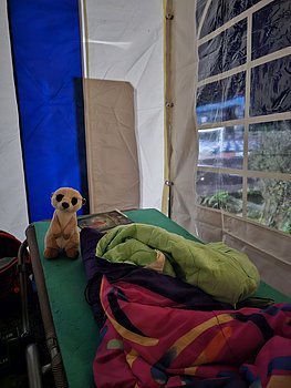 Bild im Großraumzelt mit Kuscheltier
